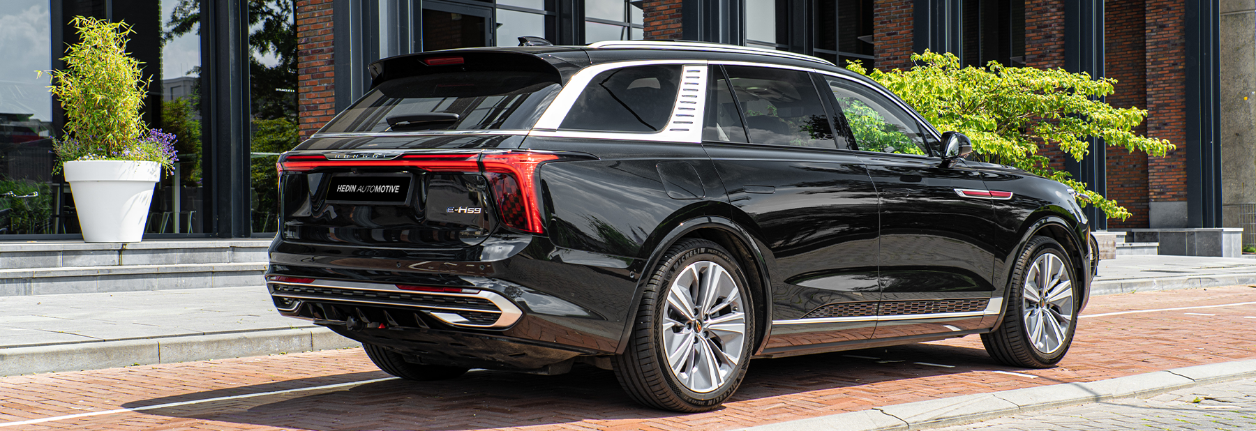 HONGQI E-HS9_9